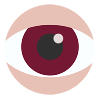 Visibilità